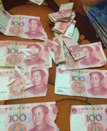 爆料二哈视频大全下载安装,笑料横生的萌犬瞬间